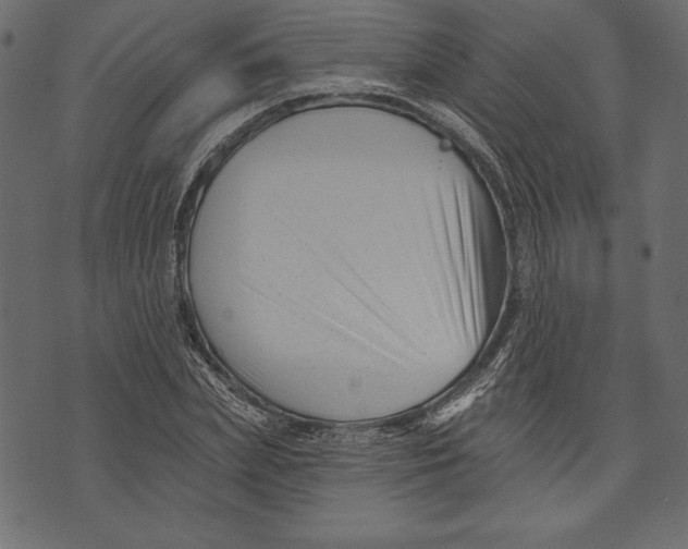 X0000072920831200608181249
