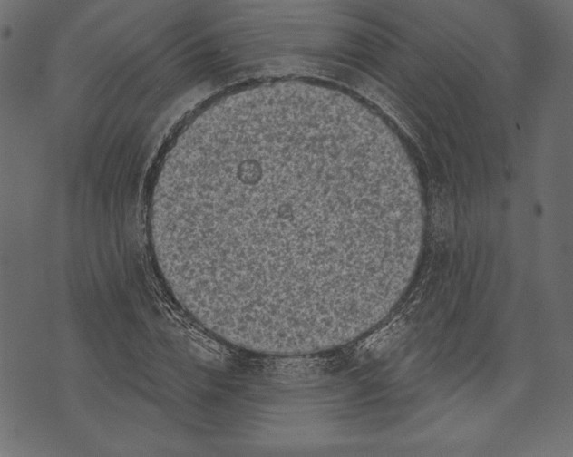 X0000072920832200608181249
