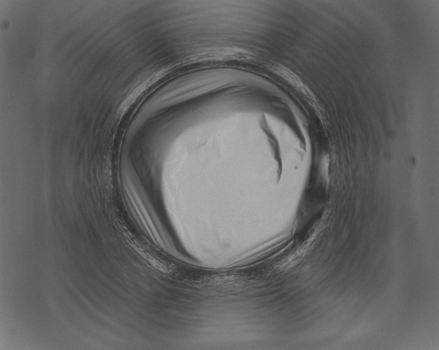X0000072920834200608181249
