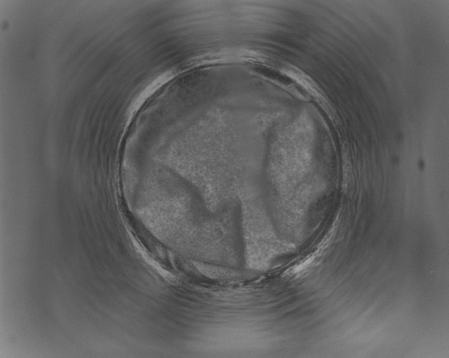 X0000072920850200608181249