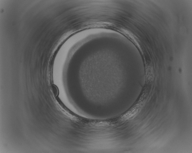 X0000072920851200608181249