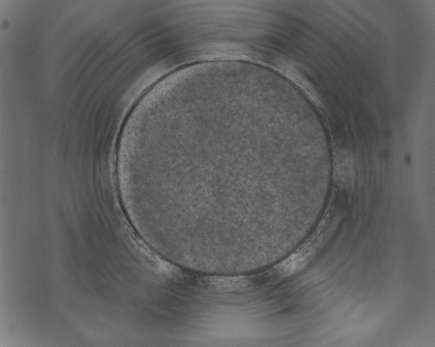 X0000072920856200608181249