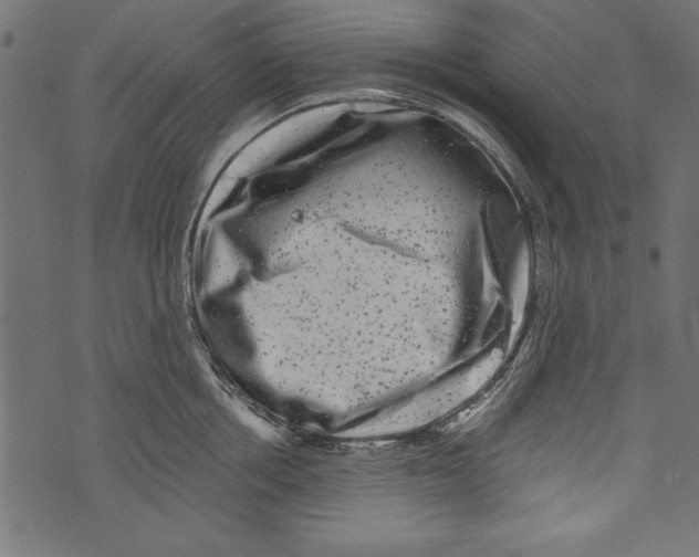 X0000072920858200608181249