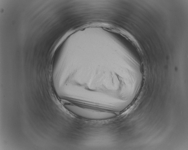 X0000072920860200608181249