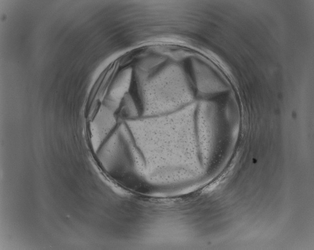 X0000072920862200608181249
