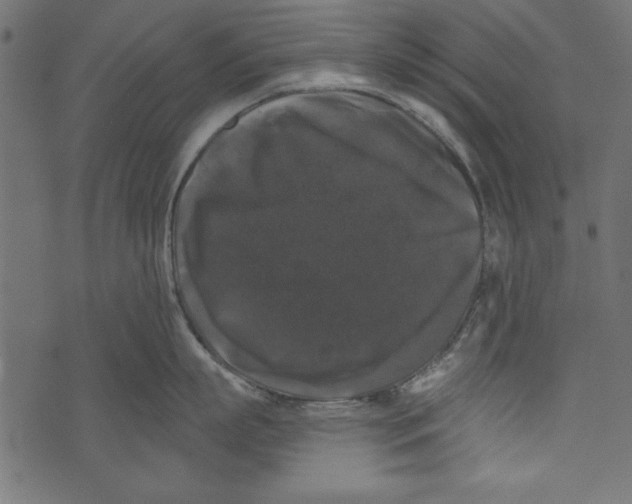 X0000072920863200608181249