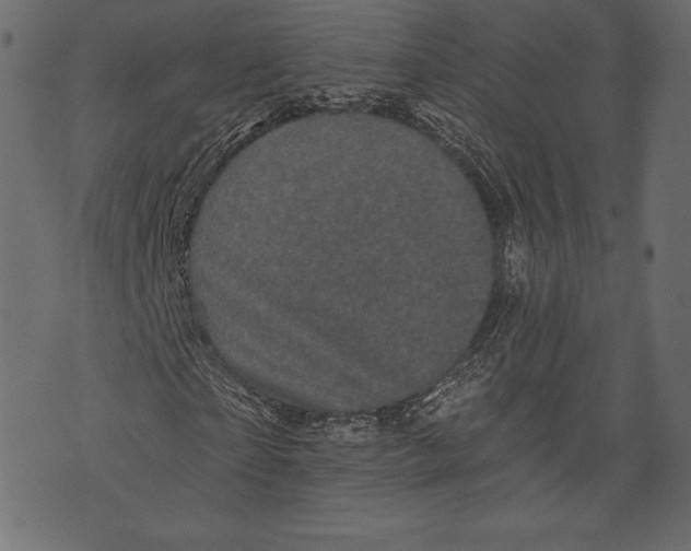 X0000072920865200608181248