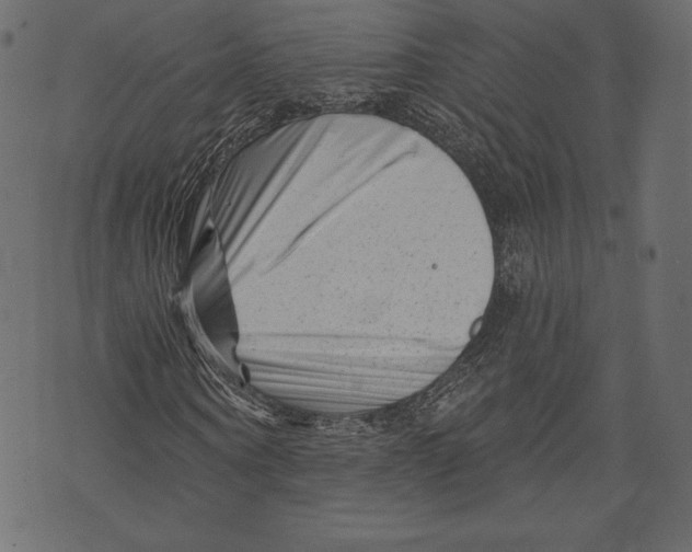 X0000072920866200608181248
