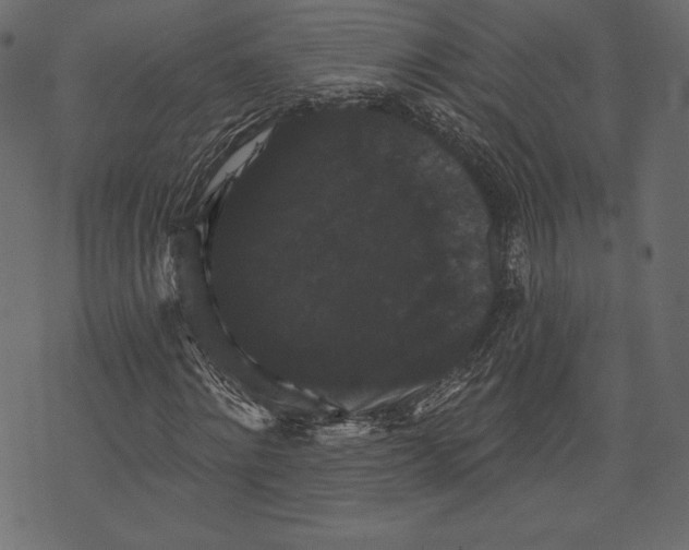 X0000072920868200608181248