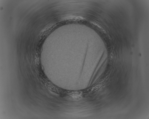 X0000072920869200608181248