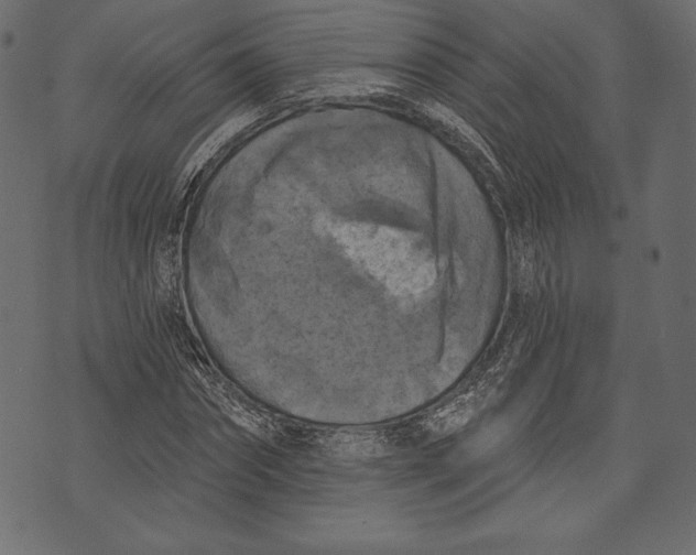 X0000072920874200608181248