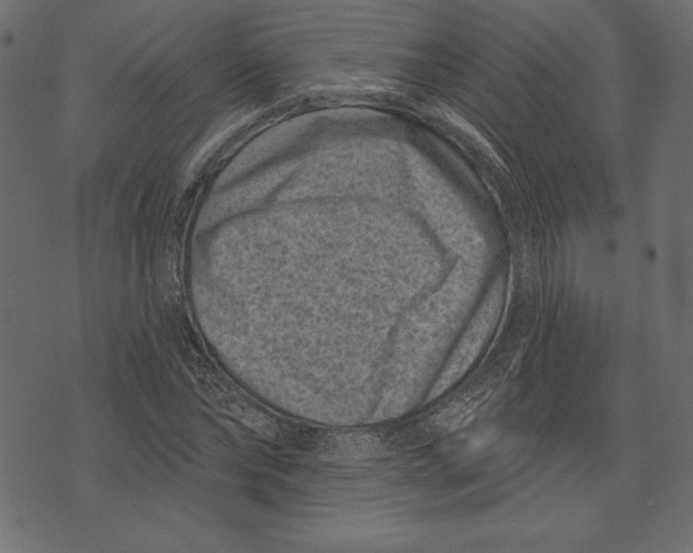 X0000072920878200608181248