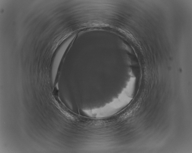 X0000072920881200608181248