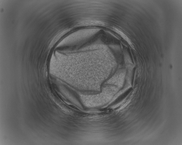 X0000072920885200608181248