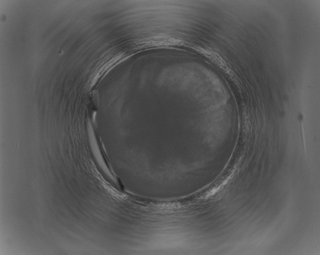 X0000072920889200608181248