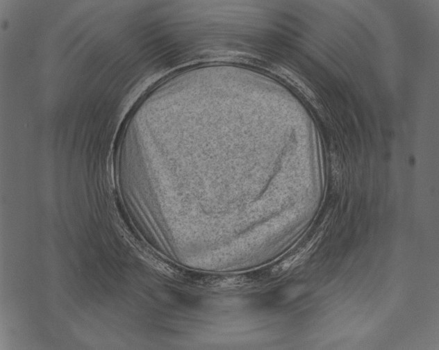 X0000072920891200608181248