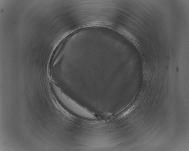 X0000072920892200608181248
