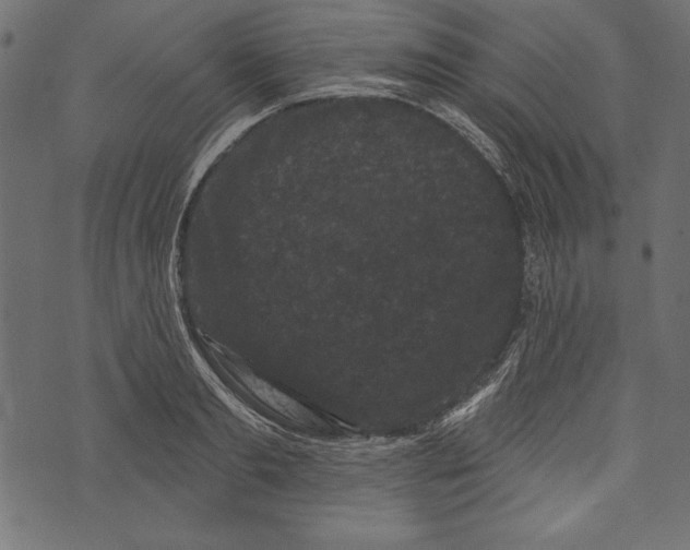 X0000072920893200608181248