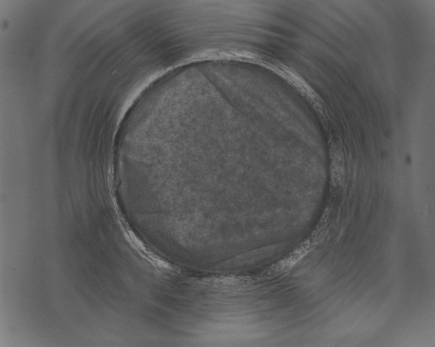 X0000072920896200608181248