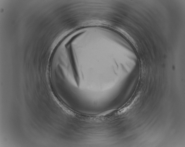 X0000072920901200608181248