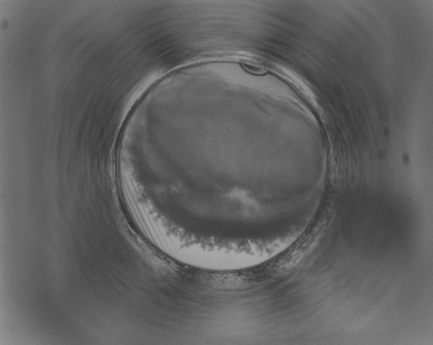 X0000072920907200608181248