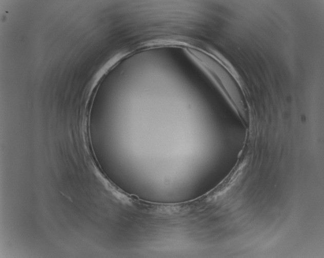X0000072920909200608181248