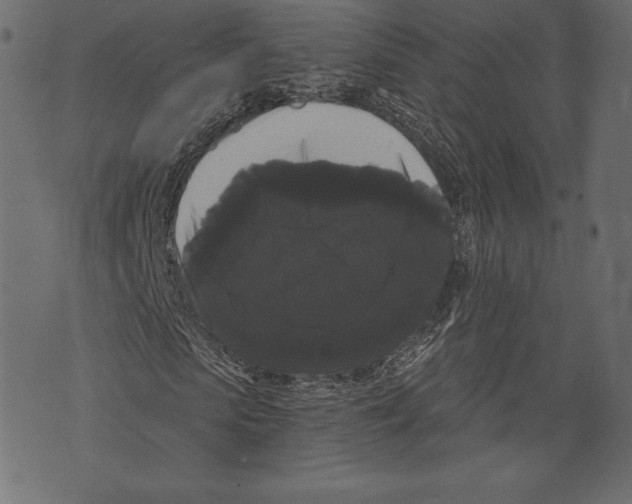 X0000072920913200608181247