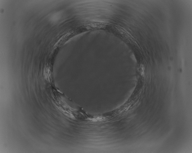 X0000072920915200608181247