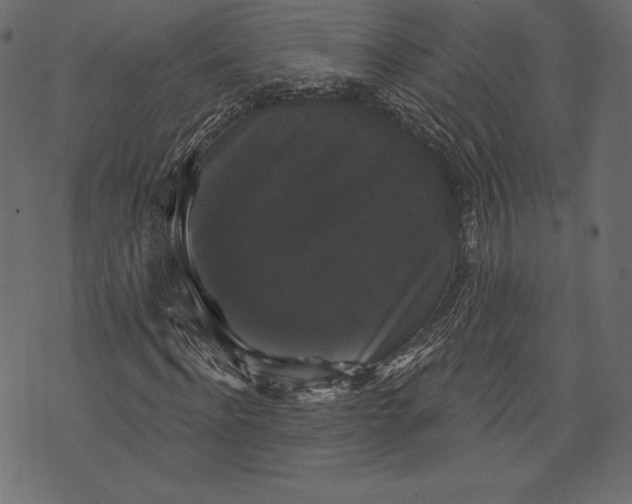 X0000072920916200608181247