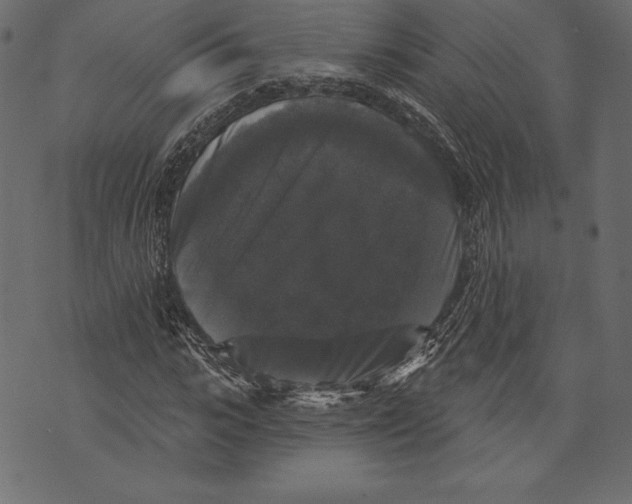 X0000072920919200608181247