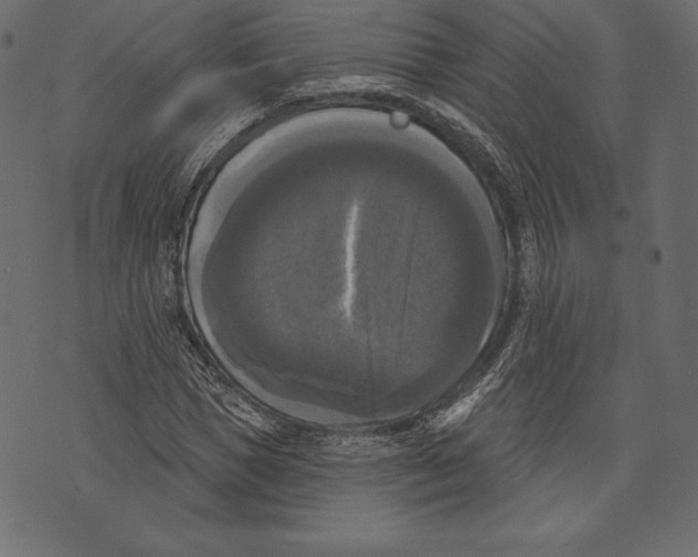 X0000072920921200608181247
