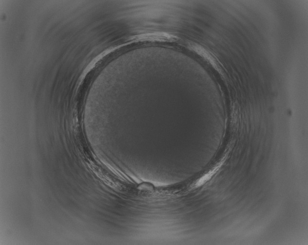 X0000072920923200608181247