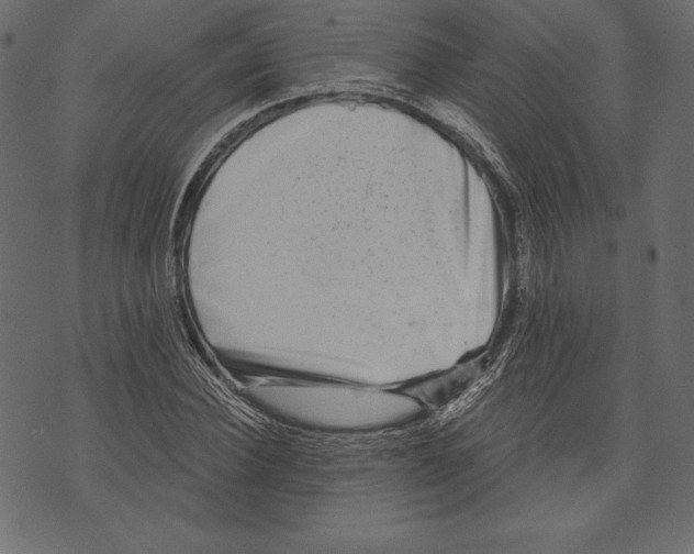 X0000072920924200608181247