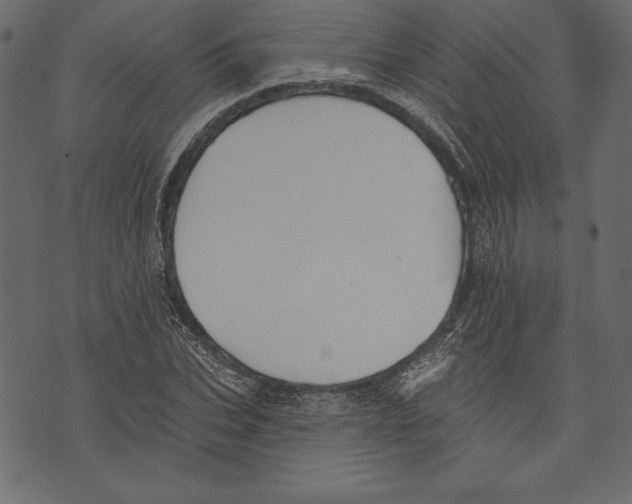 X0000072920927200608181247