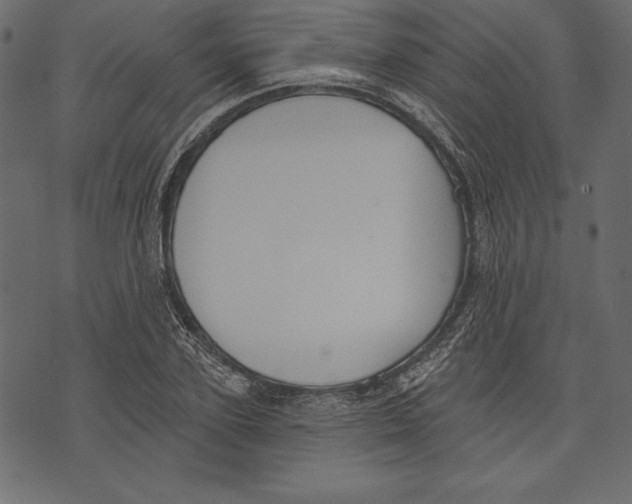 X0000072920931200608181247