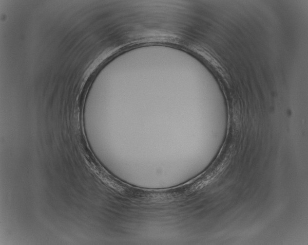 X0000072920933200608181247