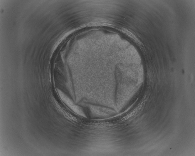 X0000072920934200608181247
