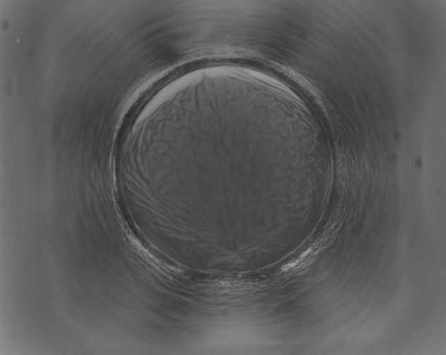 X0000072920935200608181247