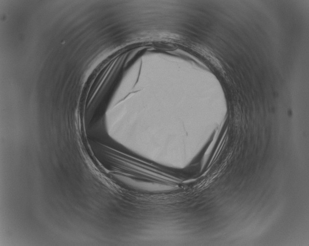X0000072920936200608181247