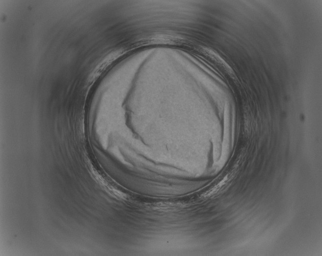 X0000072920938200608181247
