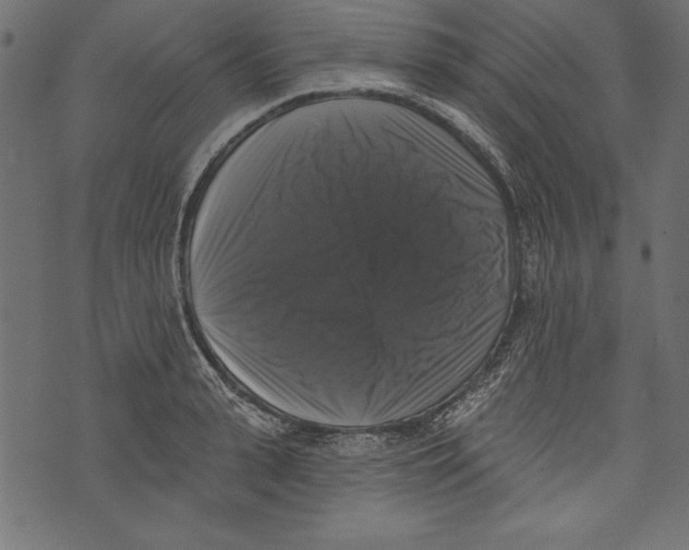 X0000072920943200608181247
