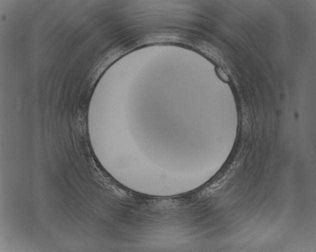 X0000072920945200608181247