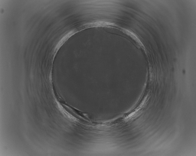 X0000072920946200608181247