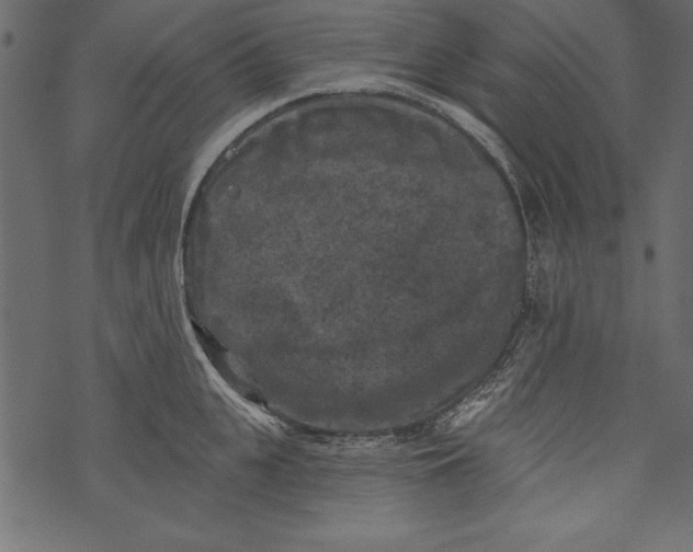 X0000072920951200608181247