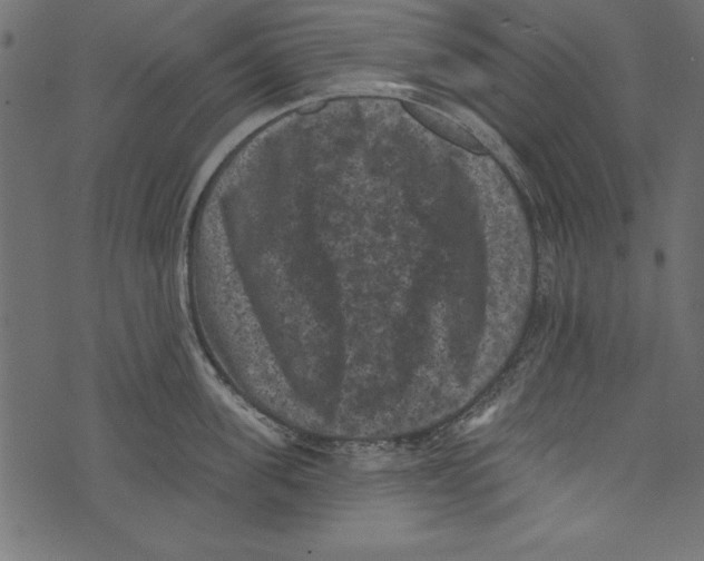 X0000072920955200608181247