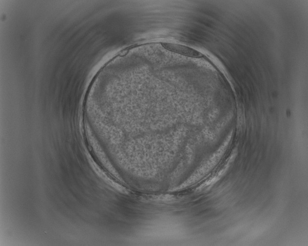 X0000072920957200608181248
