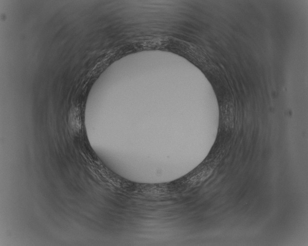 X0000072920962200608181247