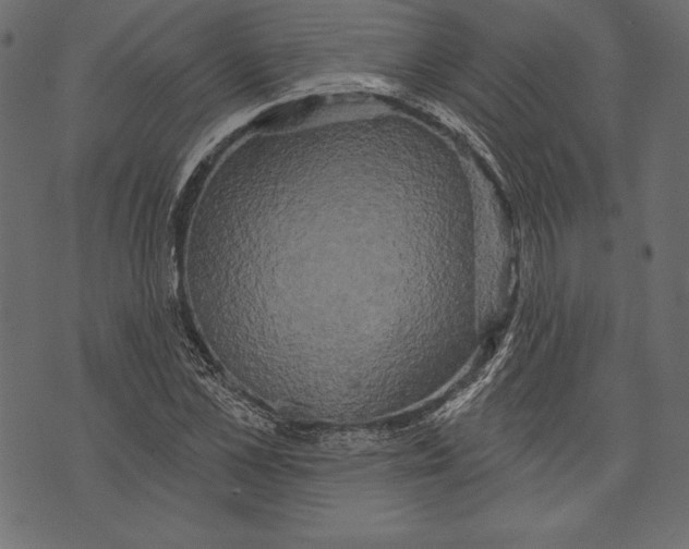 X0000072920973200608181247