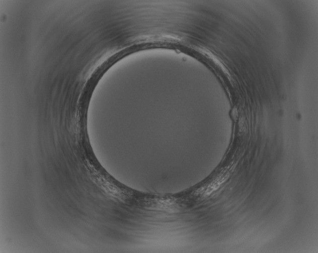 X0000072920975200608181247