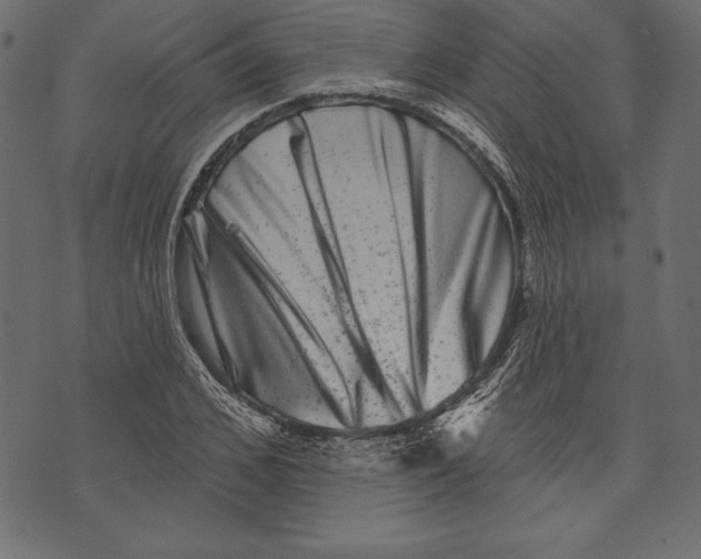 X0000072920976200608181247